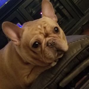 Meet your Posher, Amber